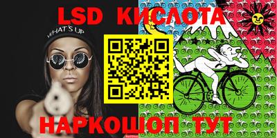 spice Кингисепп
