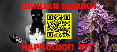 spice Кингисепп