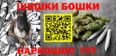spice Кингисепп