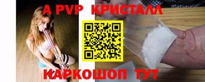 spice Кингисепп