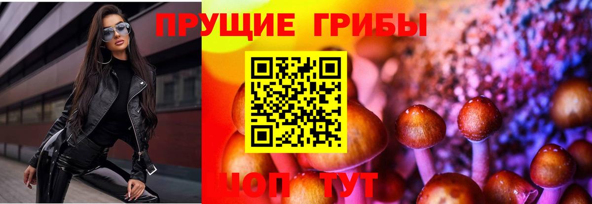 Лесной  где купить наркоту  Вход с VPN  Галлюциногенные грибы мицелий 